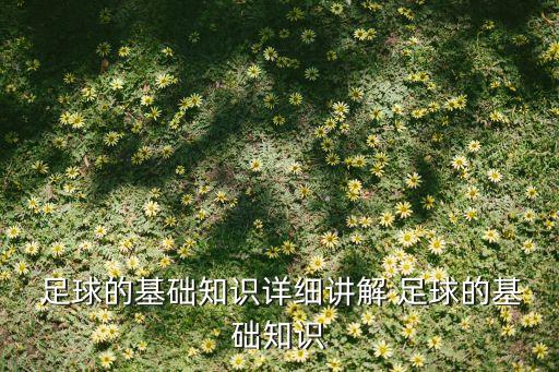  足球的基礎(chǔ)知識(shí)詳細(xì)講解 足球的基礎(chǔ)知識(shí)