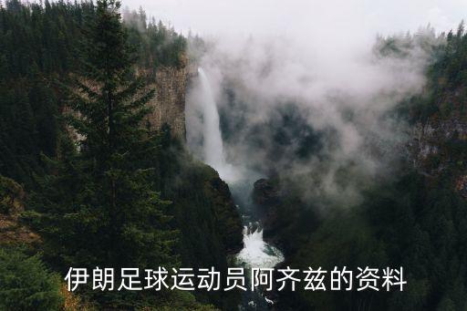 伊朗足球隊前國腳,伊朗國家足球隊