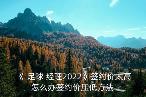 足球經(jīng)理19怎么修改,真實(shí)足球經(jīng)理3修改