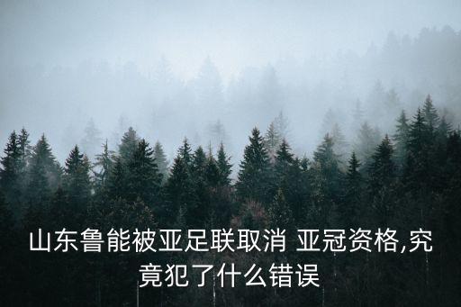 山東魯能被亞足聯(lián)取消 亞冠資格,究竟犯了什么錯誤