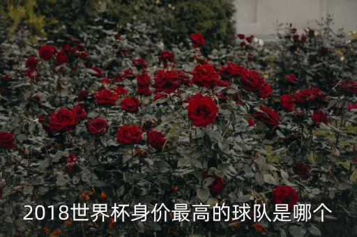 2018世界杯身價(jià)最高的球隊(duì)是哪個(gè)