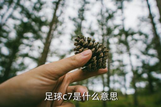  足球c7是什么意思