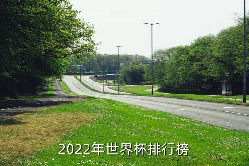 2022年世界杯排行榜