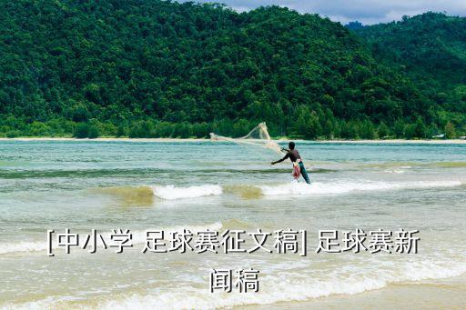 [中小學 足球賽征文稿] 足球賽新聞稿
