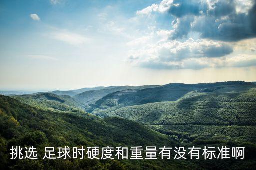 挑選 足球時(shí)硬度和重量有沒(méi)有標(biāo)準(zhǔn)啊