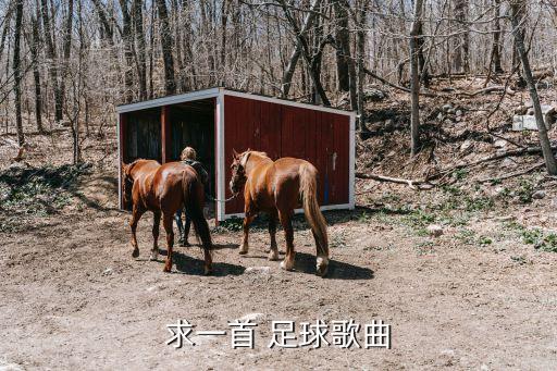 求一首 足球歌曲