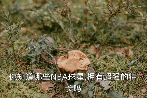 納什籃球場(chǎng)足球,納什踢過(guò)職業(yè)足球嗎