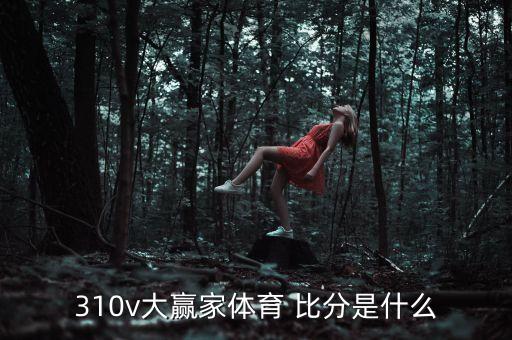 310v大贏家體育 比分是什么