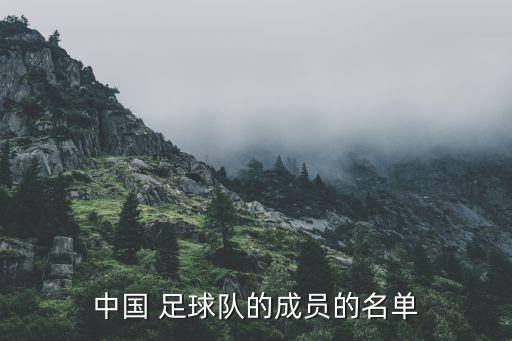 中國 足球隊的成員的名單