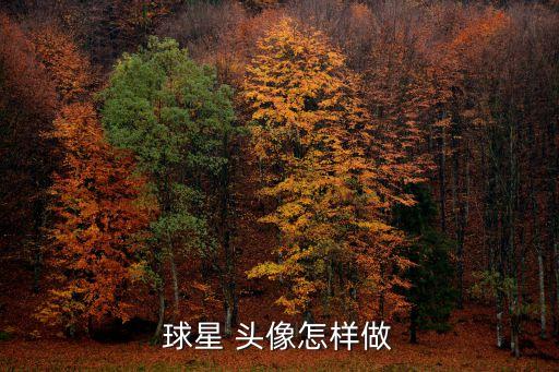 球星 頭像怎樣做