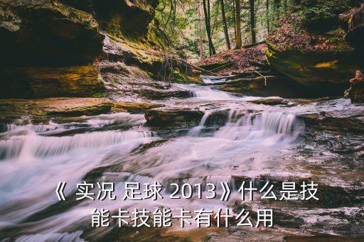 《 實況 足球 2013》什么是技能卡技能卡有什么用