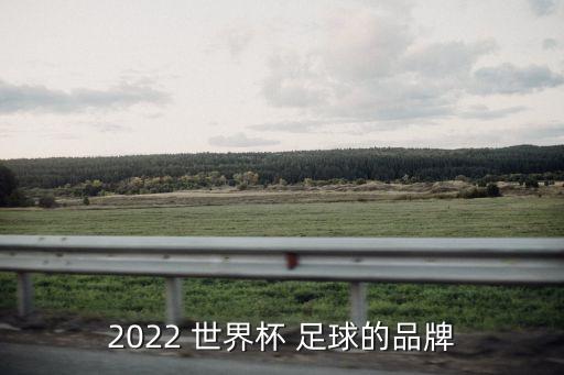 世界上最好的足球品牌