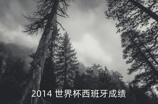 2014 世界杯西班牙成績