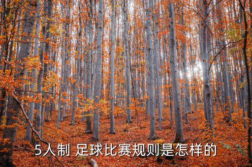 5人制 足球比賽規(guī)則是怎樣的