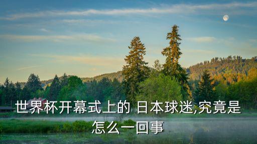 日本足球稻本潤一
