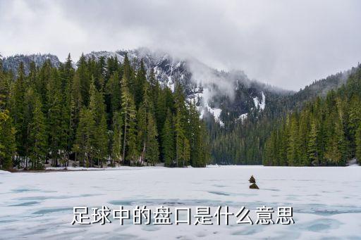  足球中的盤口是什么意思