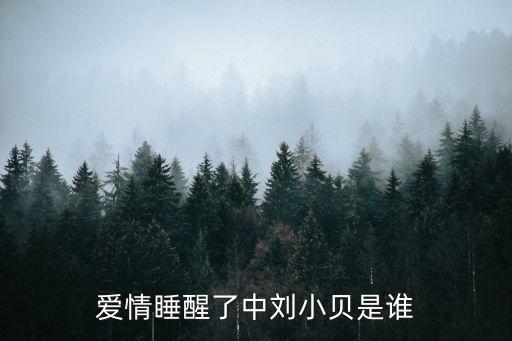 愛(ài)情睡醒了中劉小貝是誰(shuí)