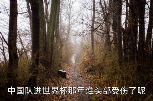 誰害了大連足球,大連足球運動員逝世