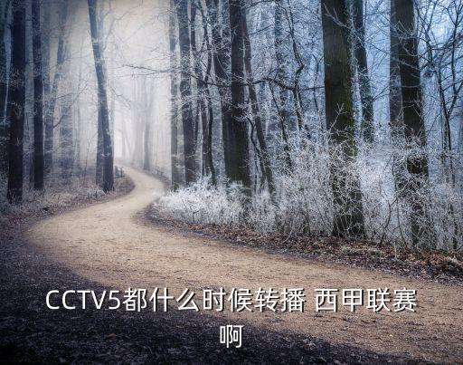 CCTV5都什么時(shí)候轉(zhuǎn)播 西甲聯(lián)賽啊