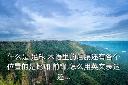 什么是 足球 術(shù)語里的后腰還有各個位置的是比如 前鋒,怎么用英文表達還...