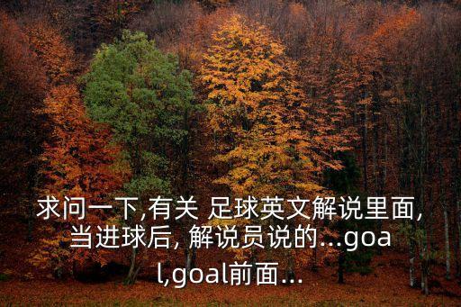 求問一下,有關(guān) 足球英文解說里面,當(dāng)進(jìn)球后, 解說員說的...goal,goal前面...