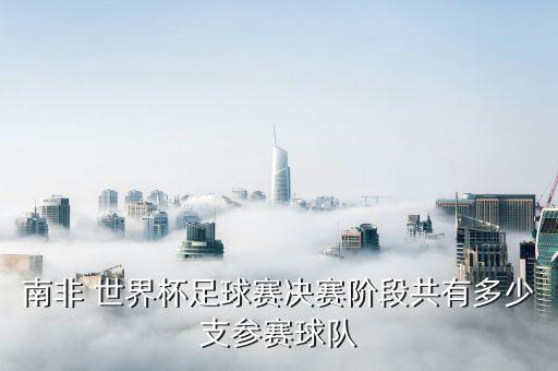 南非 世界杯足球賽決賽階段共有多少支參賽球隊(duì)