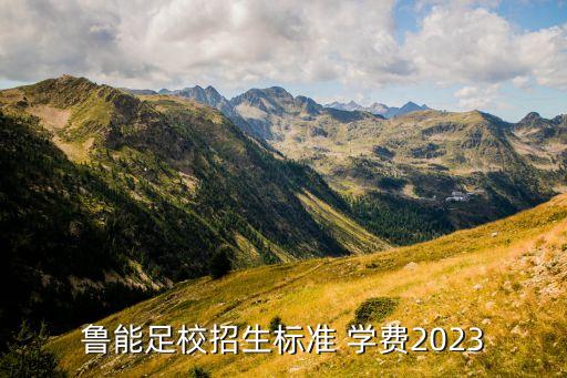沈陽(yáng)足球?qū)W校學(xué)費(fèi)多少,足球?qū)W校一年學(xué)費(fèi)多少錢(qián)