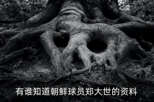 有誰知道朝鮮球員鄭大世的資料