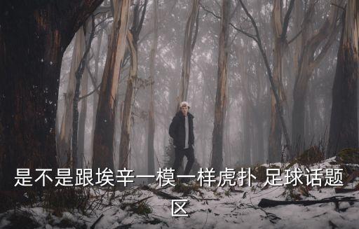 是不是跟埃辛一模一樣虎撲 足球話(huà)題區(qū)