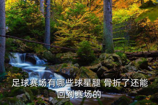 足球隊(duì)員受傷骨折,韓國足球隊(duì)員受傷