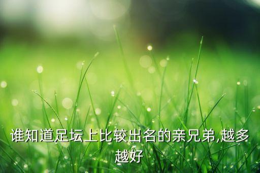 漢堡足球?qū)W校,德國漢堡足球青訓