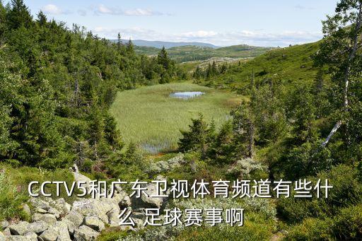 CCTV5和廣東衛(wèi)視體育頻道有些什么 足球賽事啊