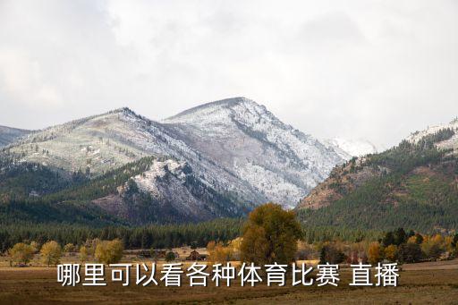 哪里可以看各種體育比賽 直播