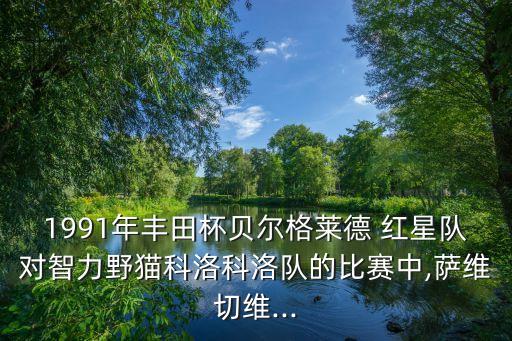 番禺紅星足球場(chǎng),廣州番禺恒大足球場(chǎng)進(jìn)展