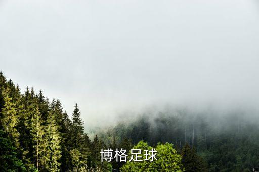 羅森博格足球
