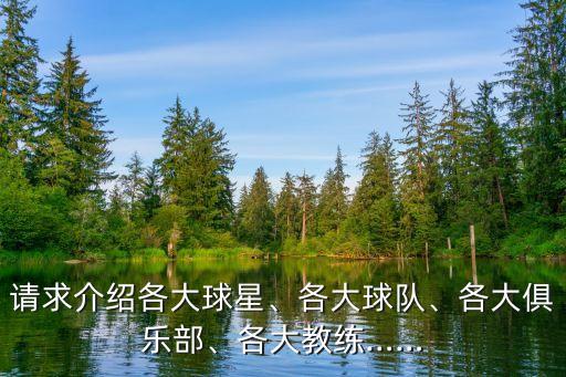 請求介紹各大球星、各大球隊、各大俱樂部、各大教練……