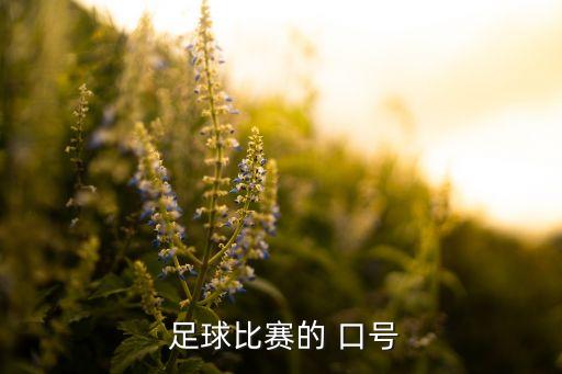  足球比賽的 口號(hào)
