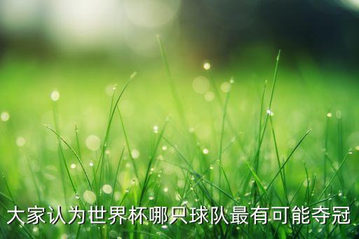大家認為世界杯哪只球隊最有可能奪冠