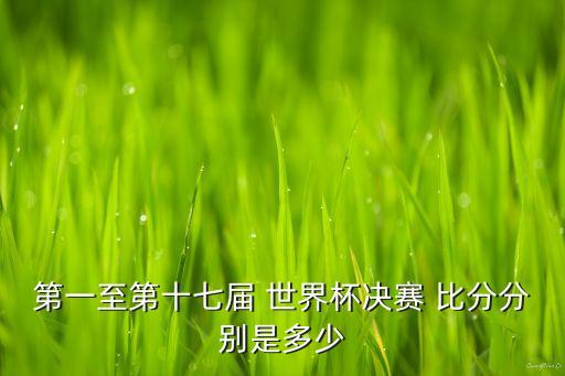 第一至第十七屆 世界杯決賽 比分分別是多少