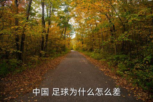 在四川足球改革研討會上