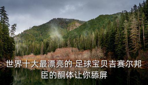 世界十大最漂亮的 足球?qū)氊惣悹柊畛嫉耐w讓你舔屏