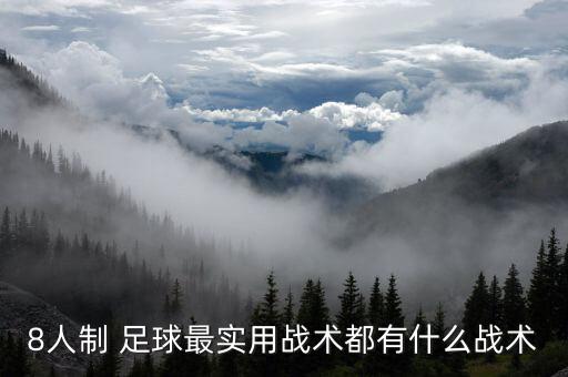 8人制 足球最實(shí)用戰(zhàn)術(shù)都有什么戰(zhàn)術(shù)