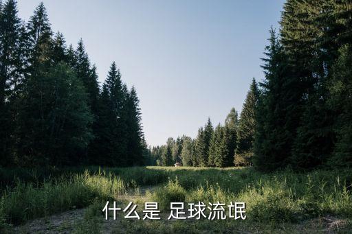 什么是 足球流氓