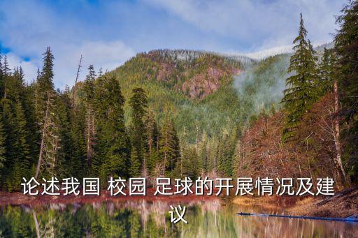 論述我國(guó) 校園 足球的開(kāi)展情況及建議
