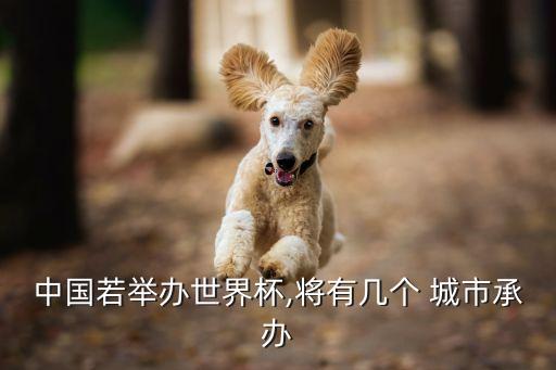 中國若舉辦世界杯,將有幾個 城市承辦