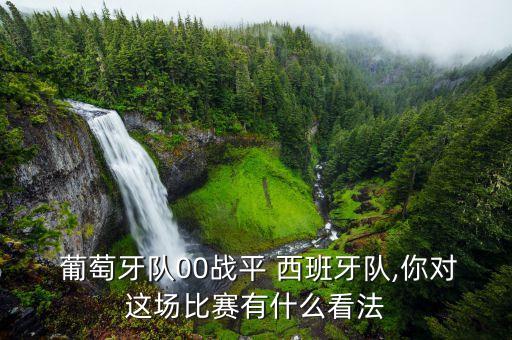  葡萄牙隊00戰(zhàn)平 西班牙隊,你對這場比賽有什么看法
