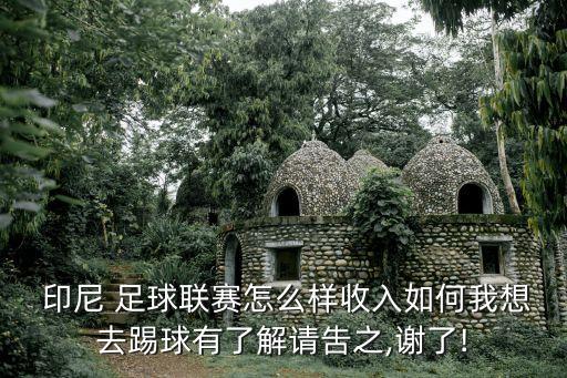印尼足球?qū)?越南印尼足球直播