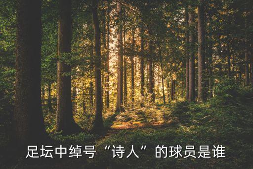 足壇中綽號“詩人”的球員是誰