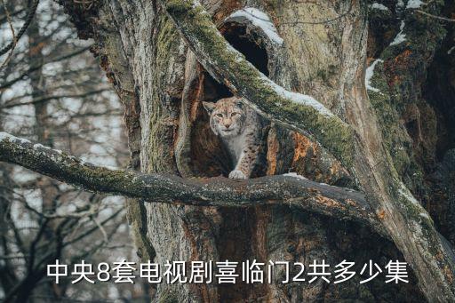 中央8套電視劇喜臨門(mén)2共多少集