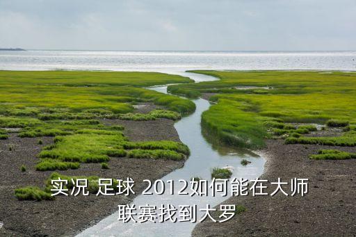 實況足球2012轉(zhuǎn)生